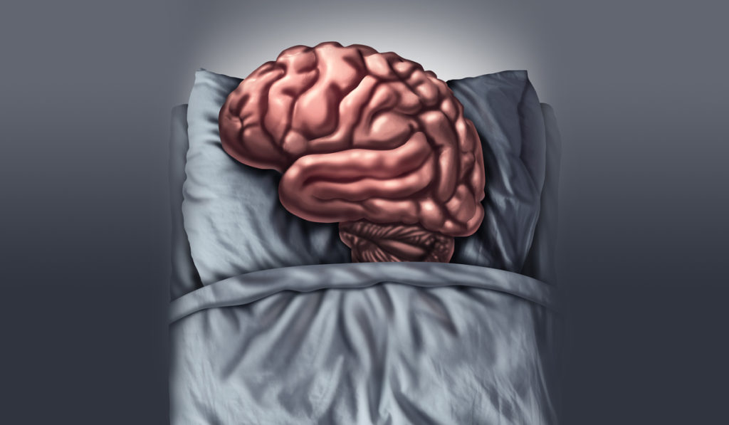 El cerebro pone en orden el almacén de recuerdos mientras dormimos